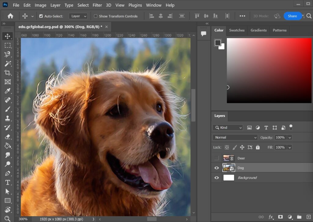 Adobe Photoshop Editing