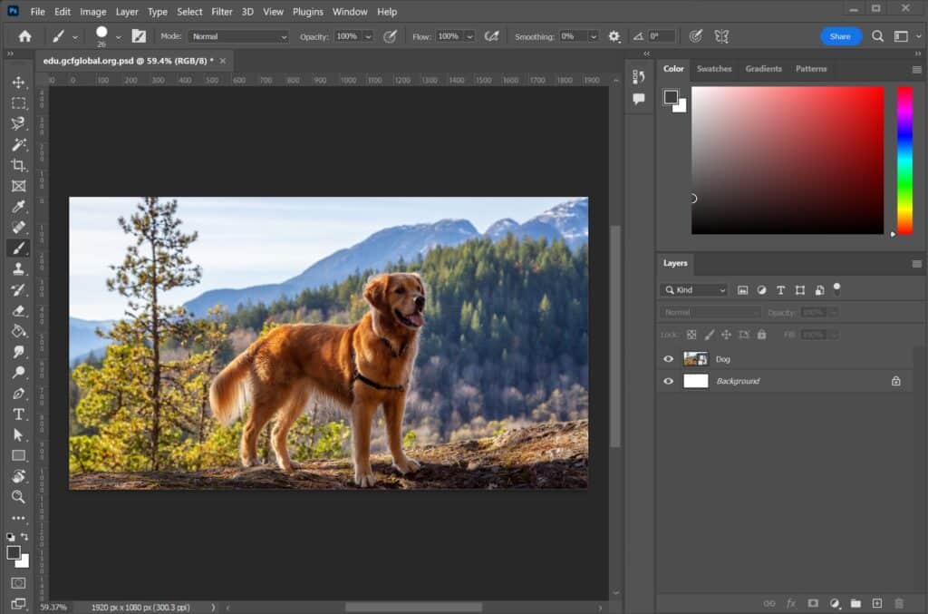 Adobe Photoshop Interface