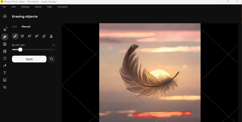 Movavi Photo Editor App Eraser