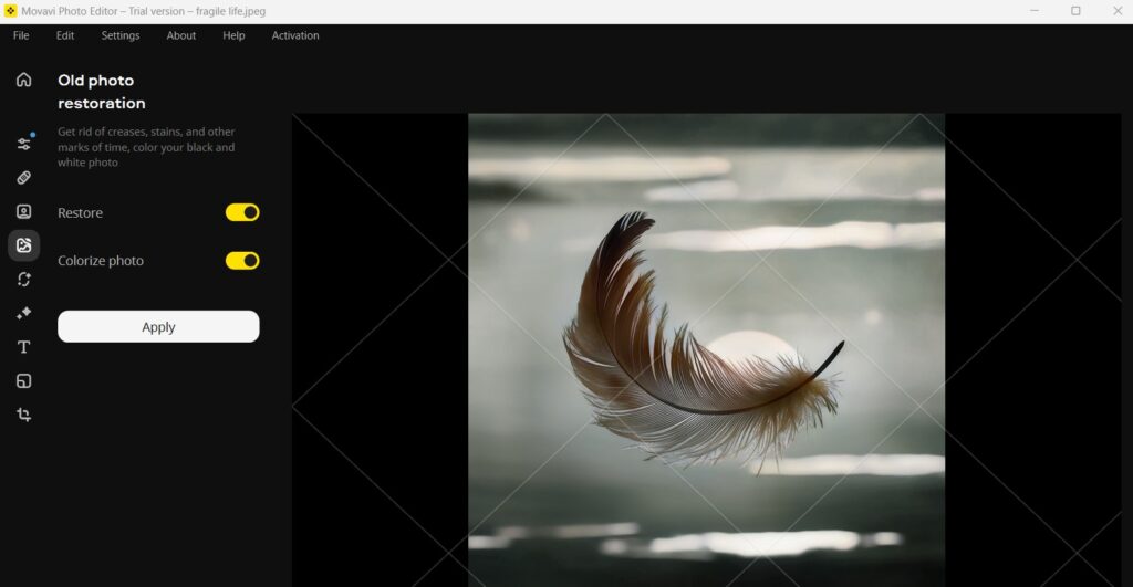 Movavi Photo Editor App Photo Restoration