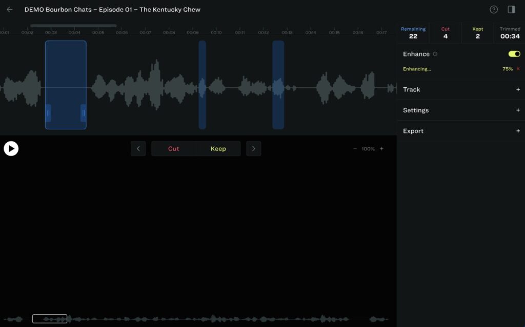 Resound AI App Audio Editing