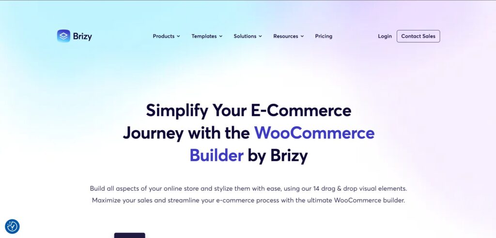 Brizy AI APp Ecommerce