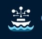 Codingfleet AI App Logo